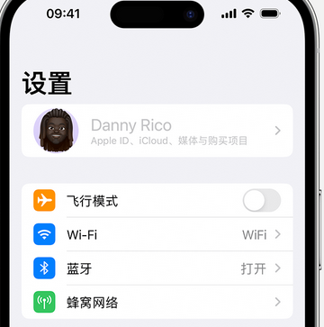 宜阳appleID维修服务iPhone设置中Apple ID显示为灰色无法使用 