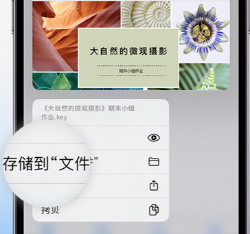 宜阳apple维修中心分享iPhone文件应用中存储和找到下载文件