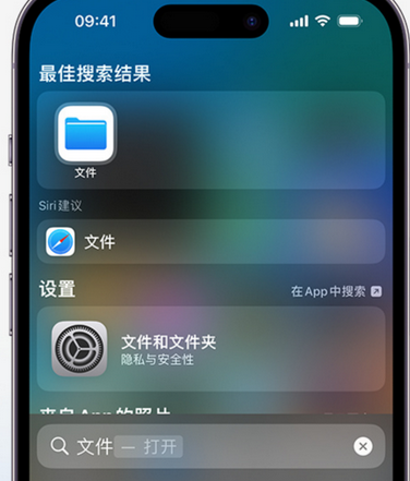 宜阳apple维修中心分享iPhone文件应用中存储和找到下载文件 