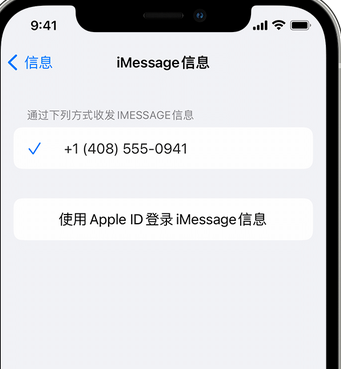 宜阳apple维修iPhone上无法正常发送iMessage信息 