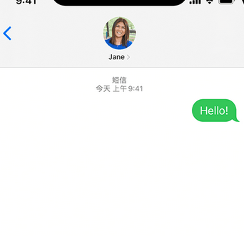 宜阳apple维修iPhone上无法正常发送iMessage信息