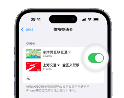 宜阳apple维修点分享iPhone上更换Apple Pay快捷交通卡手绘卡面 