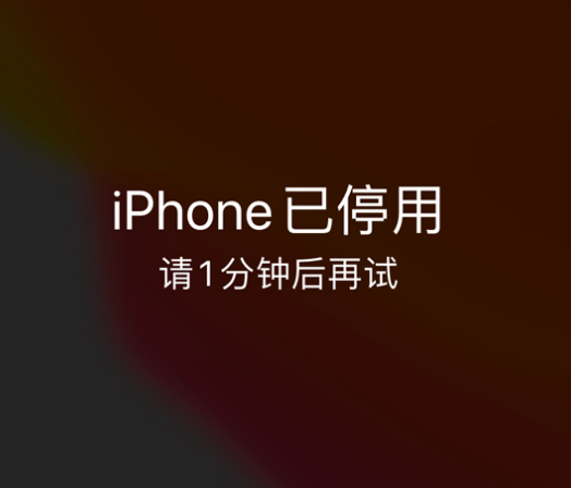 宜阳苹果手机维修分享:iPhone 显示“不可用”或“已停用”怎么办？还能保留数据吗？ 