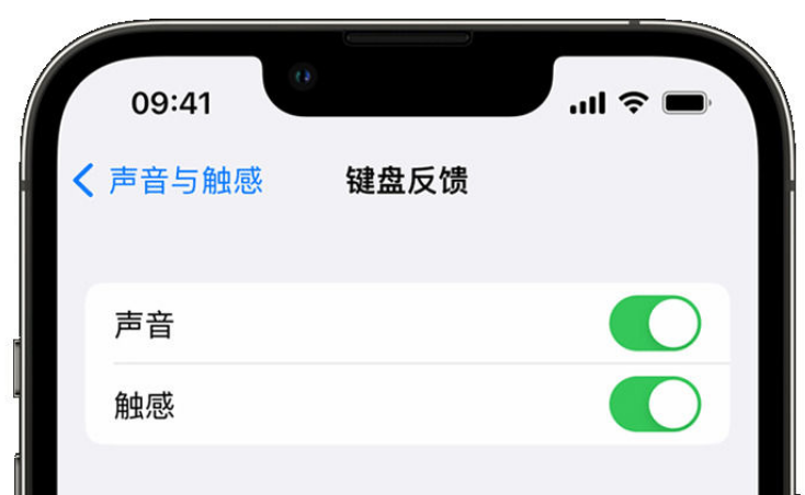 宜阳苹果手机维修分享iPhone 14触感键盘使用方法 