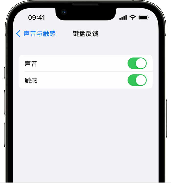 宜阳苹果14维修店分享如何在 iPhone 14 机型中使用触感键盘 