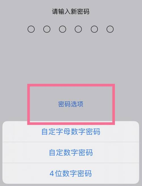 宜阳苹果14维修分享iPhone 14plus设置密码的方法 