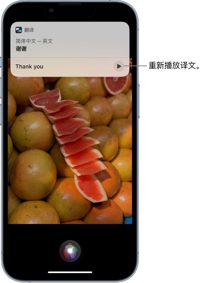 宜阳苹果14维修分享 iPhone 14 机型中使用 Siri：了解 Siri 能帮你做什么 