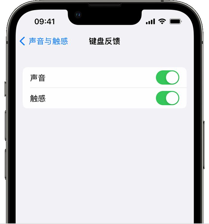 宜阳苹果14维修分享iPhone 14 系列机型如何开启键盘声音或触感反馈 