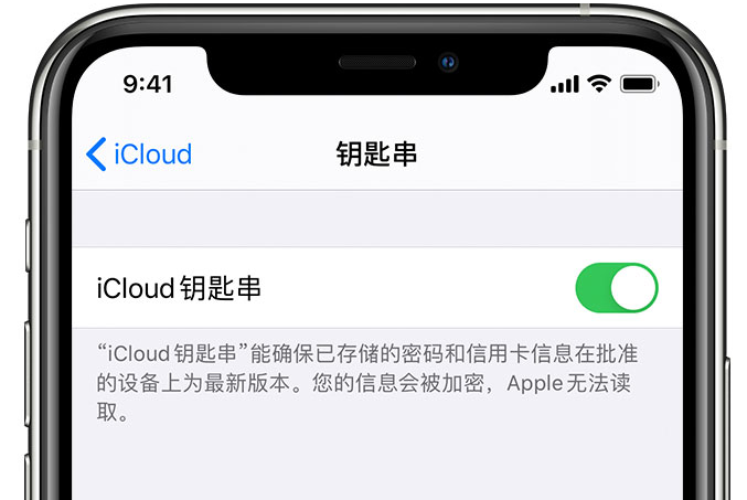 宜阳苹果手机维修分享在 iPhone 上开启 iCloud 钥匙串之后会储存哪些信息 