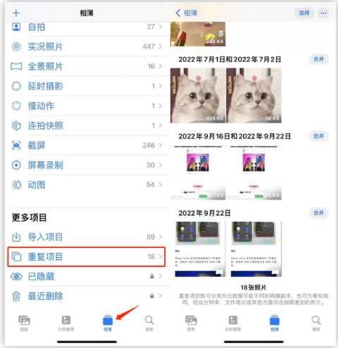 宜阳苹果手机维修分享iOS 16 中相册重复项目功能使用方法 