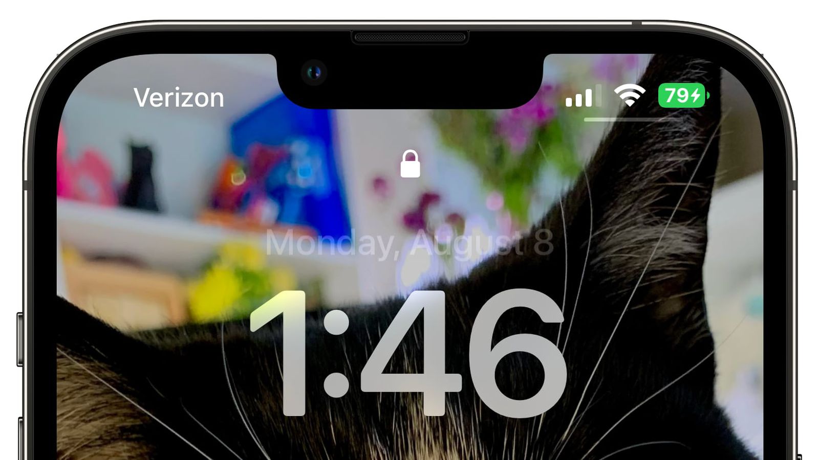 宜阳苹果手机维修分享iOS 16 beta 5 支持状态栏显示电池百分比，如何开启？支持哪些机型 