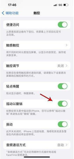 宜阳苹果手机维修分享iPhone手机如何设置摇一摇删除文字 