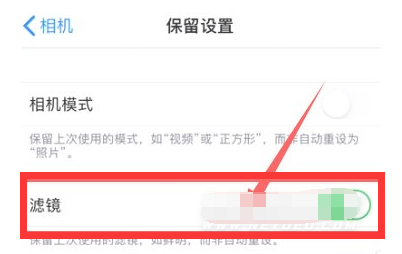 宜阳苹果13维修分享iPhone13拍照有绿点是怎么回事 