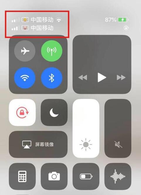 宜阳苹果手机维修分享为 iPhone 12 双卡设置标签 